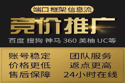 百度竞价排名服务：成功案例解析与优化策略
